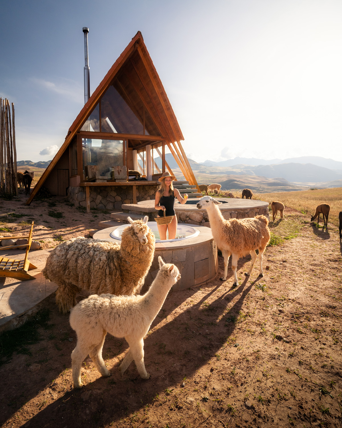 MOUNTAIN_VIEW-19