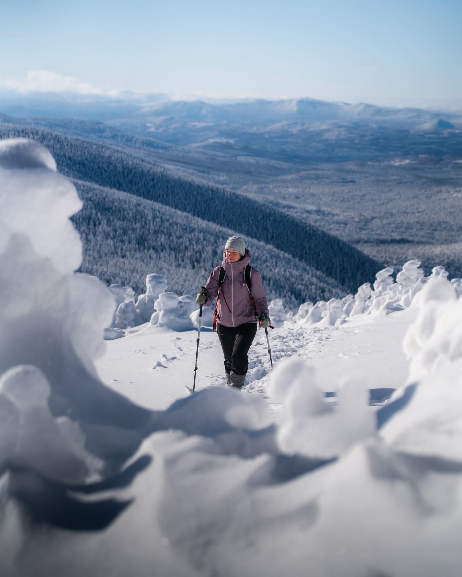 Mont Gosford